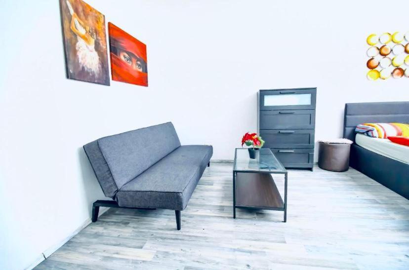 Central 4br Shared With Terrace 10-min Walk To Augarten Vienne